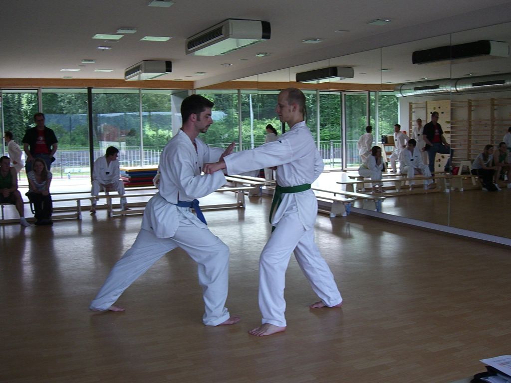 2010-06-18_TKD_KupPruefung_442