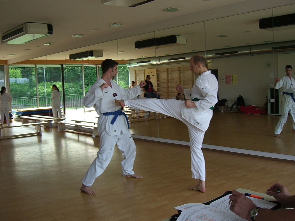 2010-06-18_TKD_KupPruefung_449