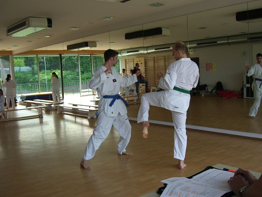 2010-06-18_TKD_KupPruefung_450