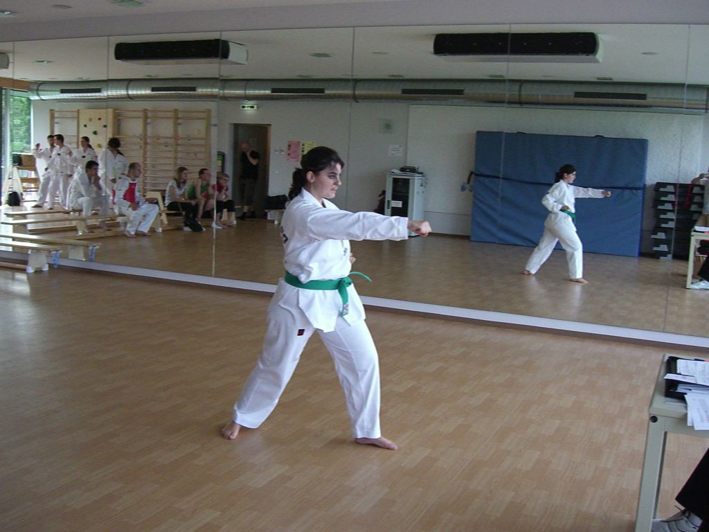 2010-06-18_TKD_KupPruefung_477