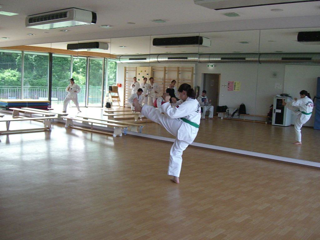 2010-06-18_TKD_KupPruefung_490