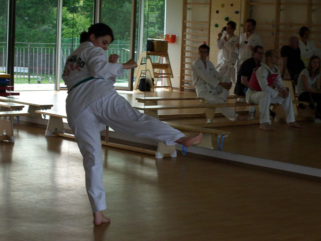 2010-06-18_TKD_KupPruefung_501