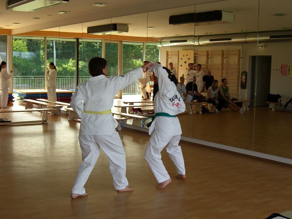 2010-06-18_TKD_KupPruefung_553
