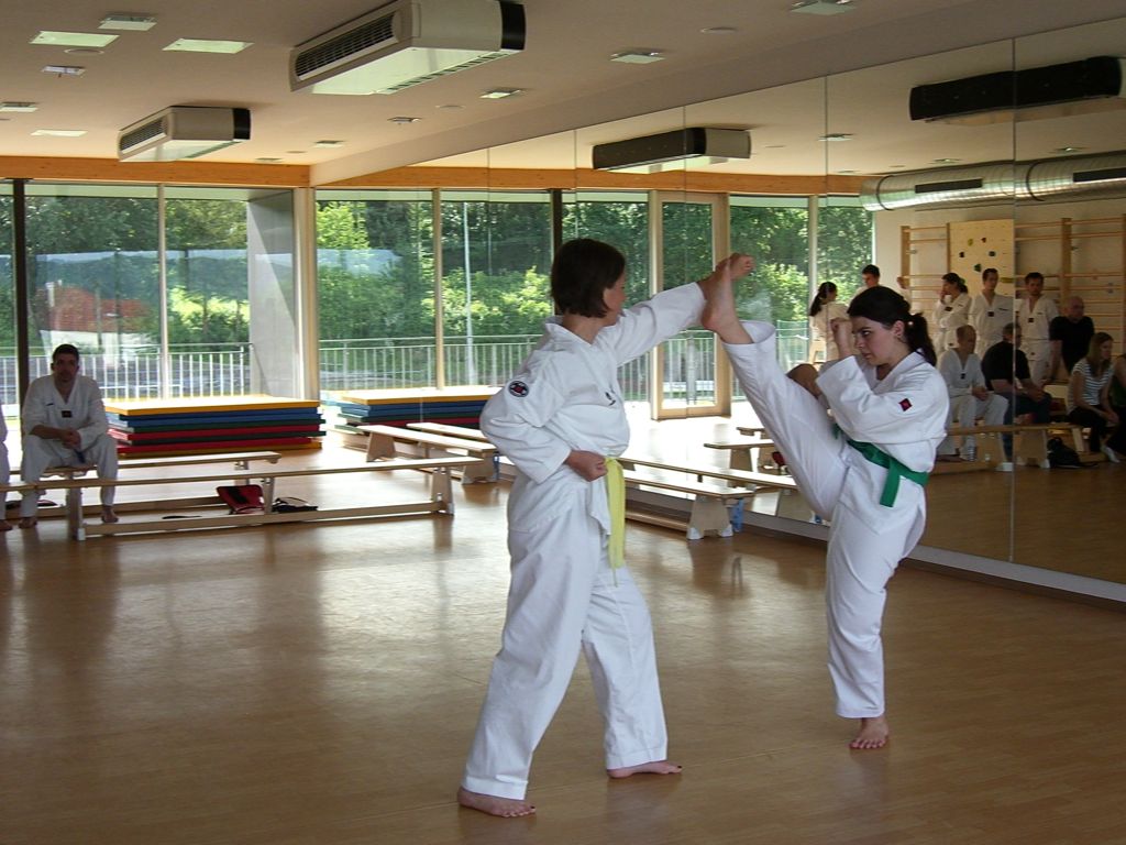 2010-06-18_TKD_KupPruefung_564