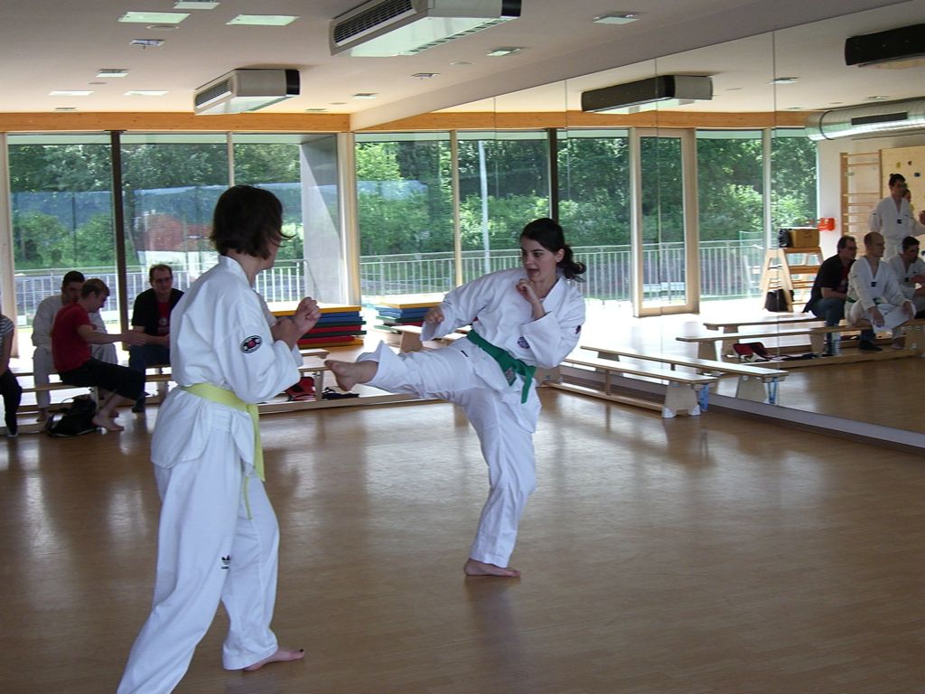 2010-06-18_TKD_KupPruefung_601