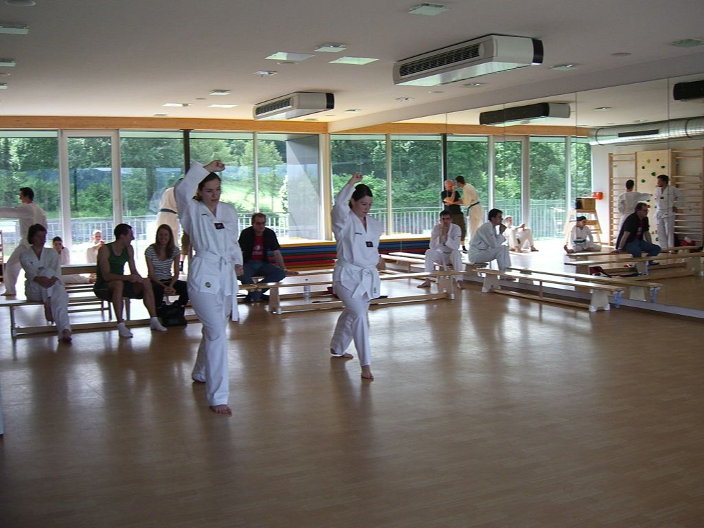 2010-06-18_TKD_KupPruefung_695