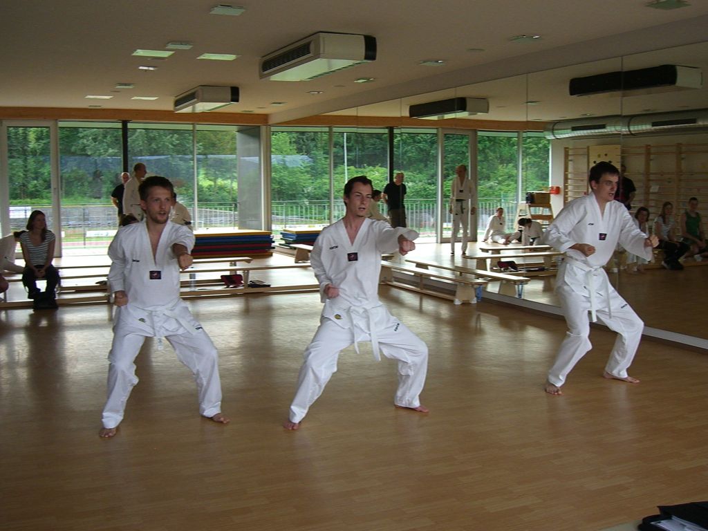2010-06-18_TKD_KupPruefung_753