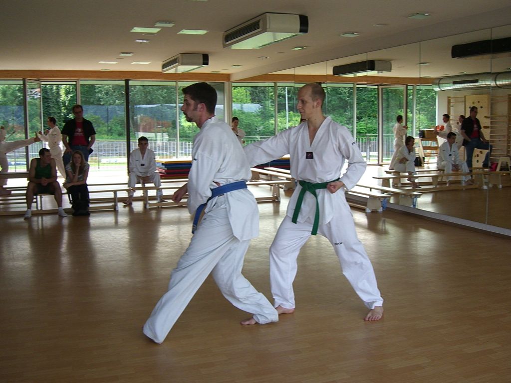 2010-06-18_TKD_KupPruefung_437