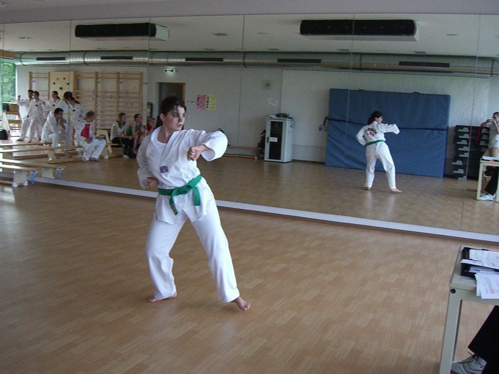 2010-06-18_TKD_KupPruefung_475