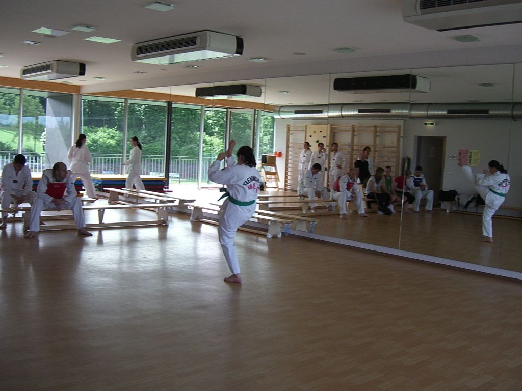 2010-06-18_TKD_KupPruefung_492