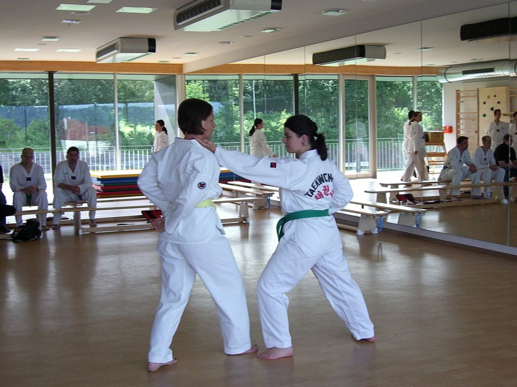 2010-06-18_TKD_KupPruefung_563