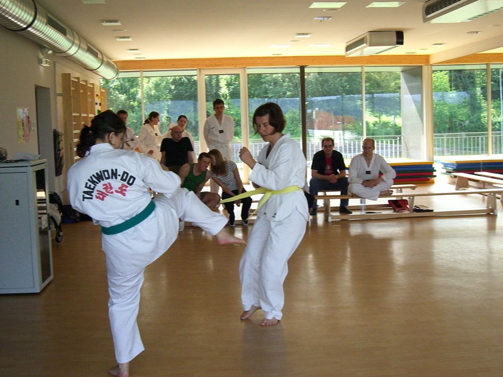 2010-06-18_TKD_KupPruefung_621