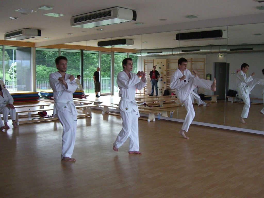 2010-06-18_TKD_KupPruefung_777