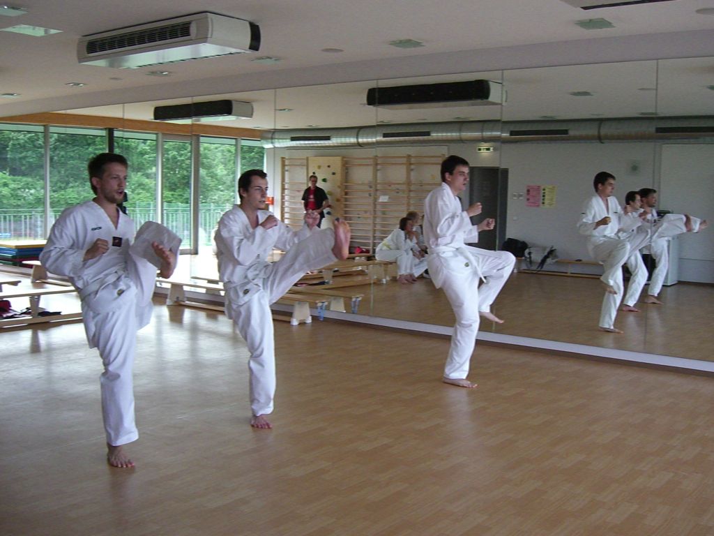 2010-06-18_TKD_KupPruefung_800