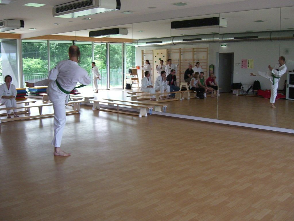 2010-06-18_TKD_KupPruefung_266