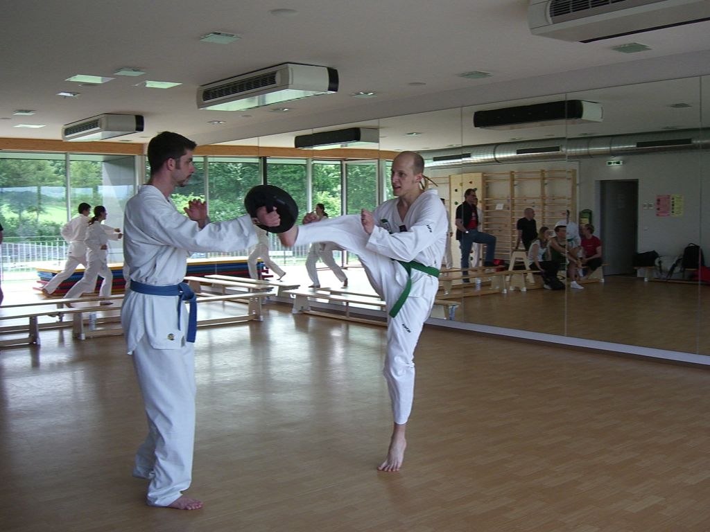 2010-06-18_TKD_KupPruefung_377