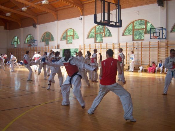 5850_228958385261_515155261_8237067_6166576_n